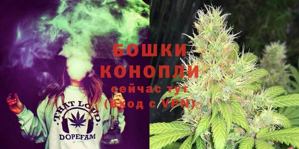 СК Аркадак
