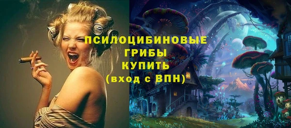 СК Аркадак