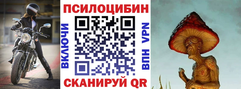 Псилоцибиновые грибы Psilocybine cubensis Баймак