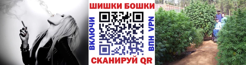 Шишки марихуана марихуана  купить наркотики сайты  Баймак 